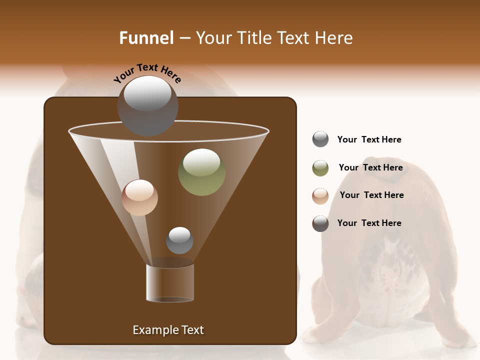 Part Bulldog Rump PowerPoint Template