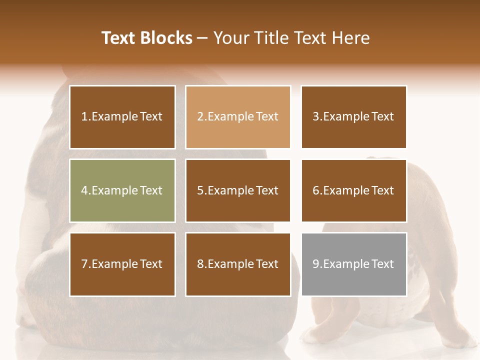 Part Bulldog Rump PowerPoint Template