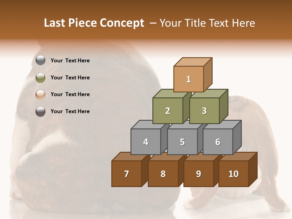Part Bulldog Rump PowerPoint Template