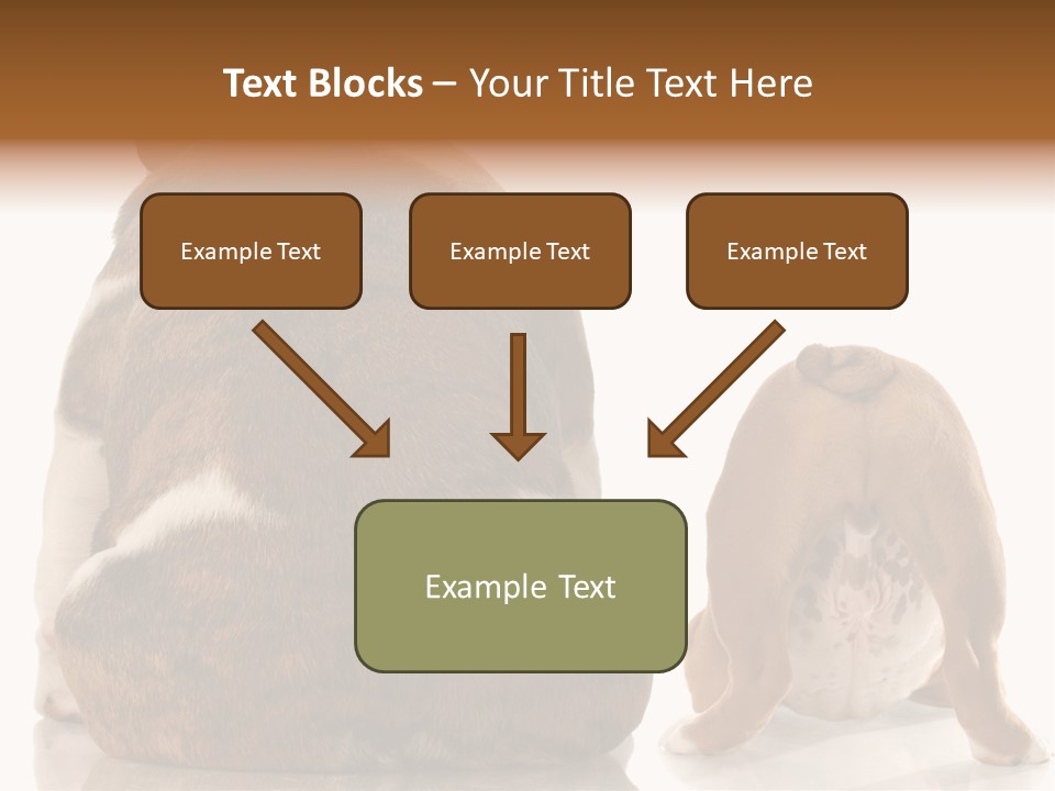 Part Bulldog Rump PowerPoint Template