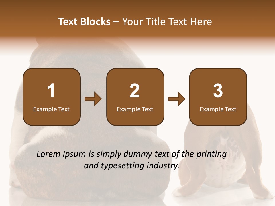 Part Bulldog Rump PowerPoint Template