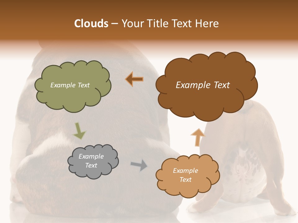 Part Bulldog Rump PowerPoint Template