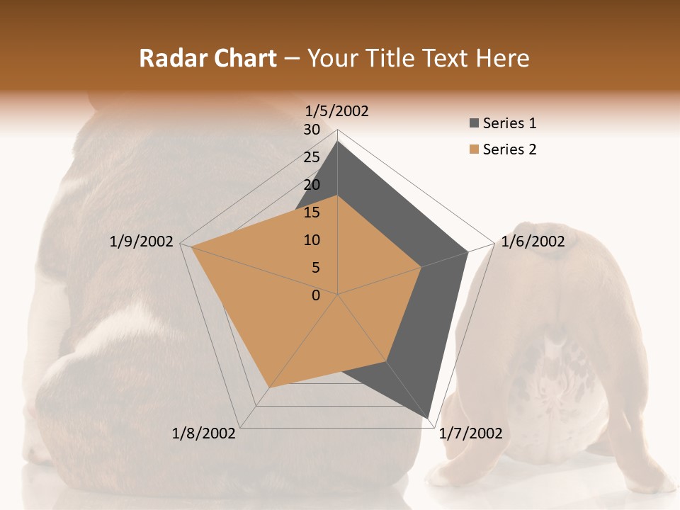 Part Bulldog Rump PowerPoint Template