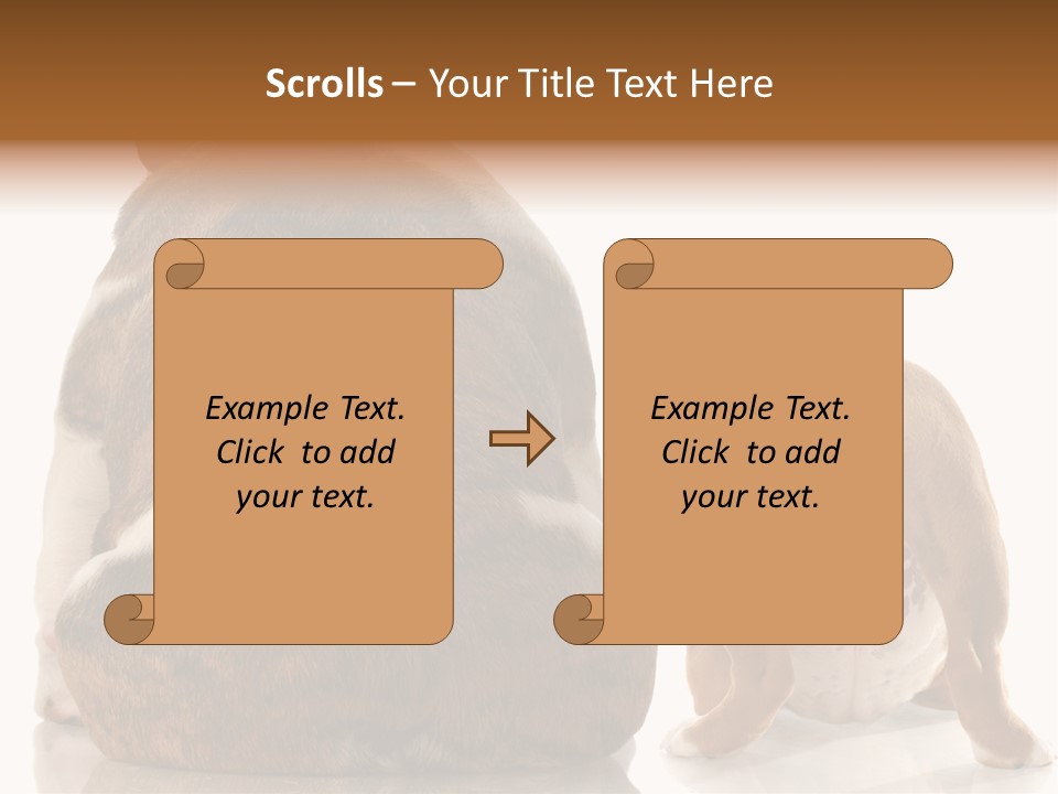 Part Bulldog Rump PowerPoint Template