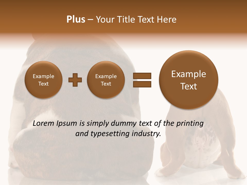 Part Bulldog Rump PowerPoint Template