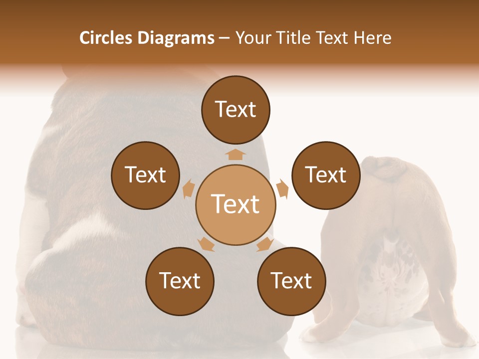 Part Bulldog Rump PowerPoint Template