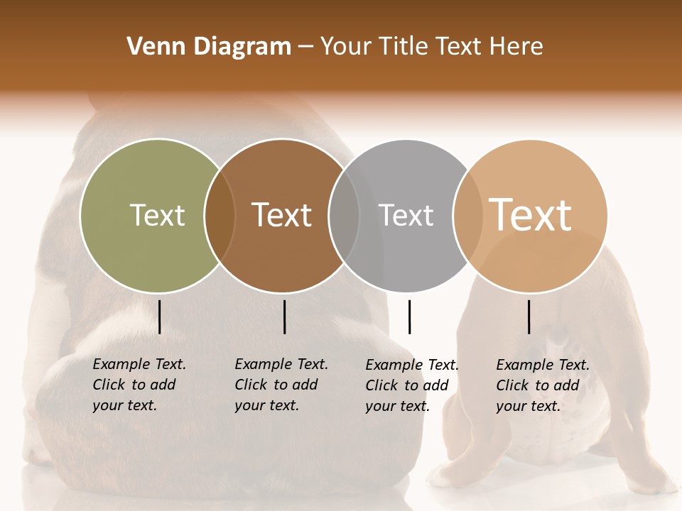 Part Bulldog Rump PowerPoint Template