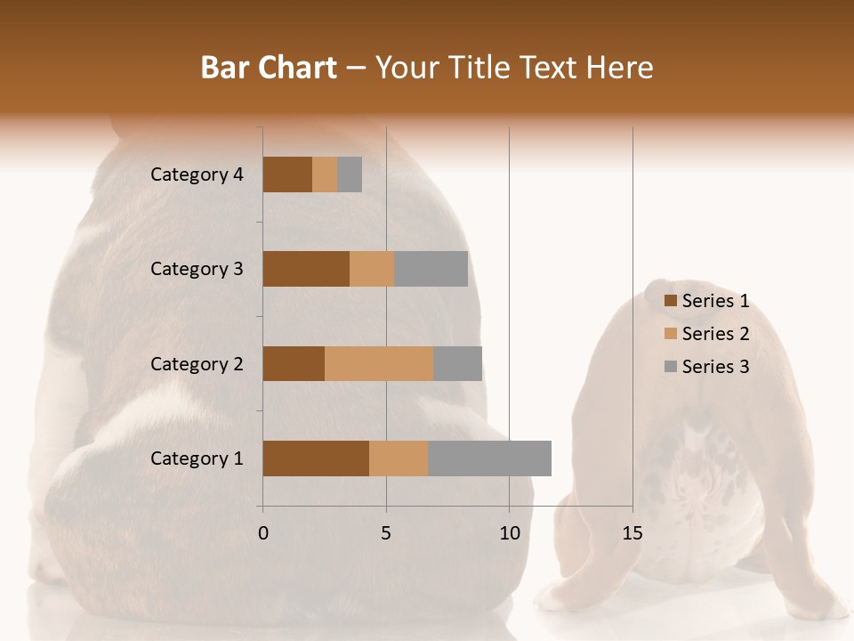 Part Bulldog Rump PowerPoint Template