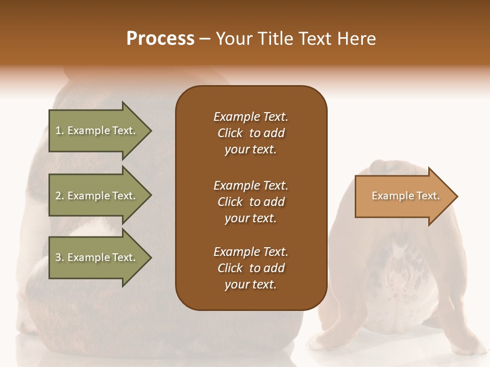 Part Bulldog Rump PowerPoint Template