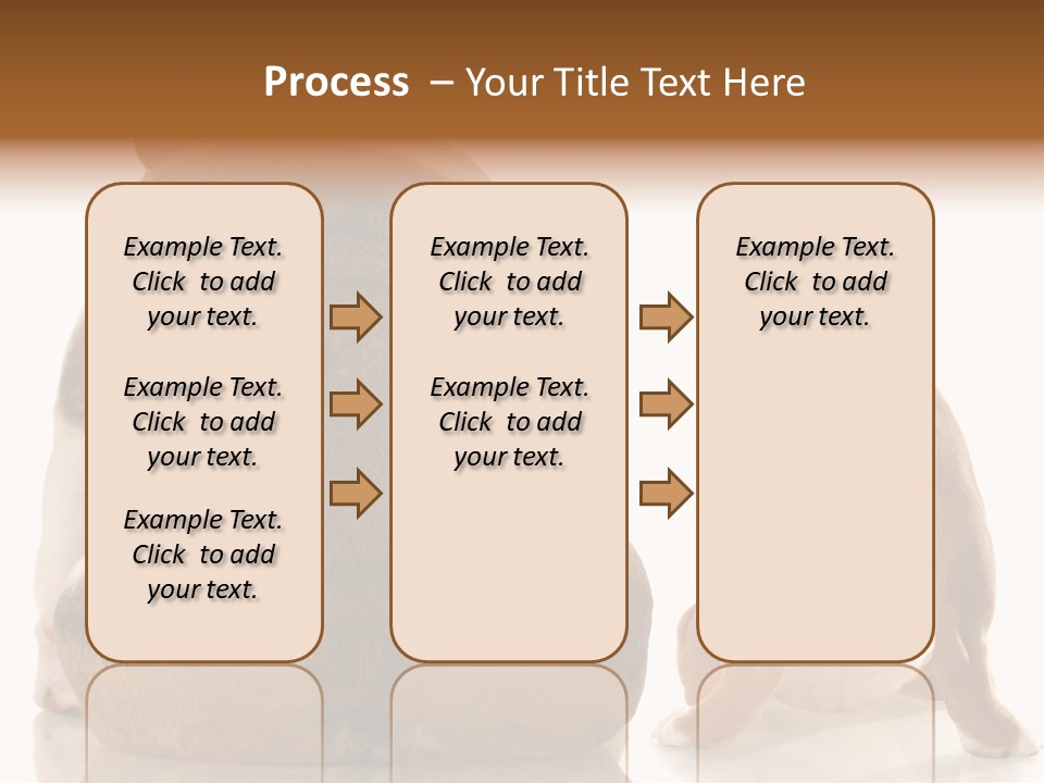 Part Bulldog Rump PowerPoint Template