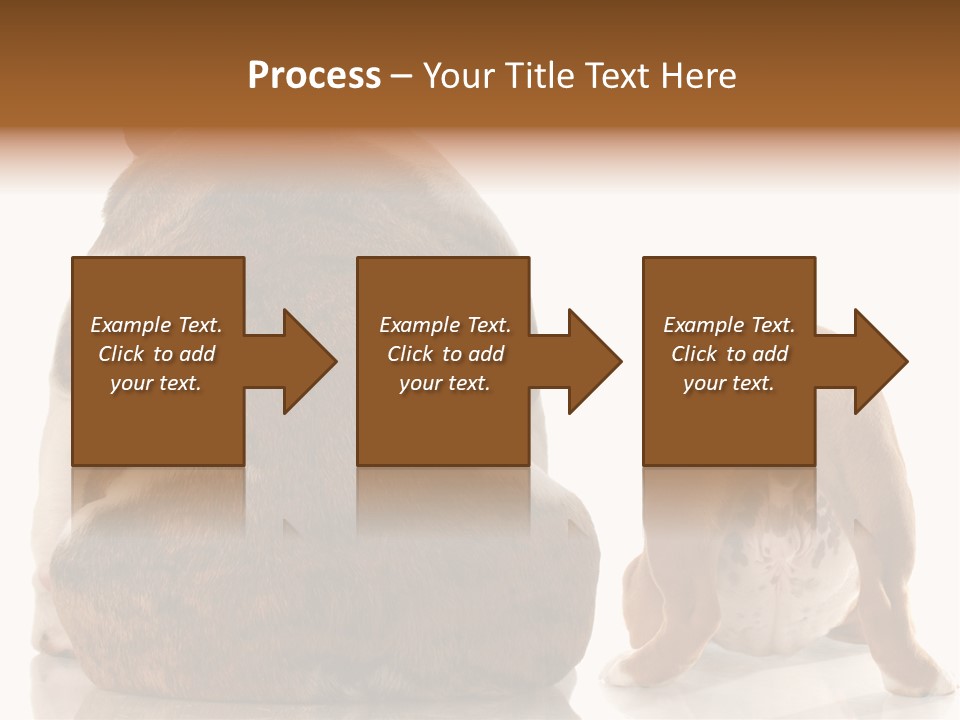 Part Bulldog Rump PowerPoint Template