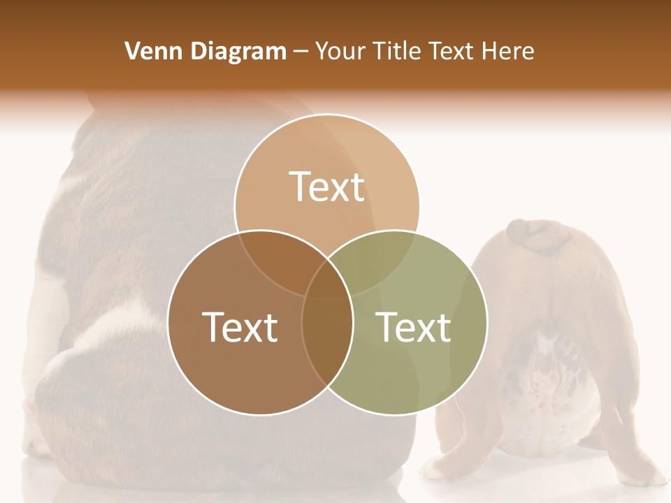 Part Bulldog Rump PowerPoint Template