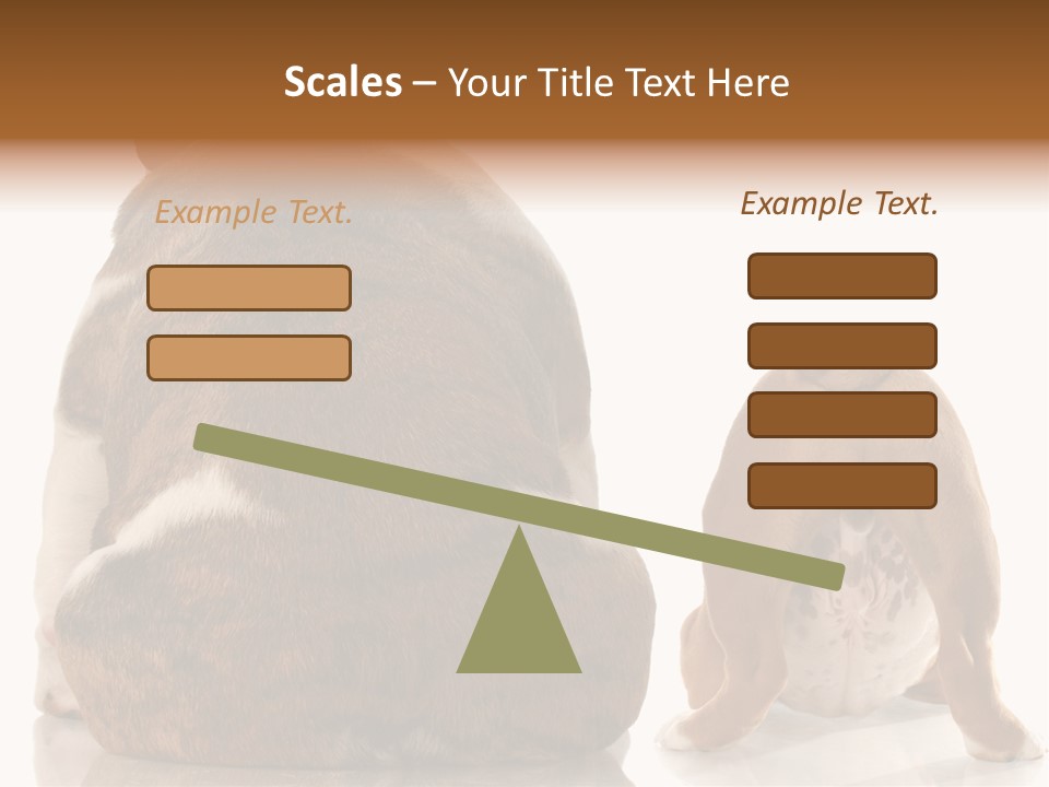 Part Bulldog Rump PowerPoint Template