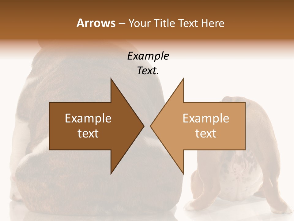 Part Bulldog Rump PowerPoint Template