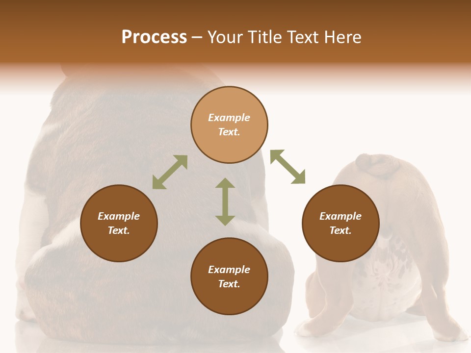 Part Bulldog Rump PowerPoint Template