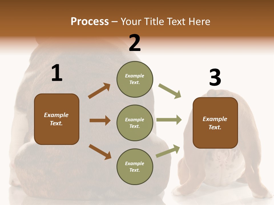 Part Bulldog Rump PowerPoint Template