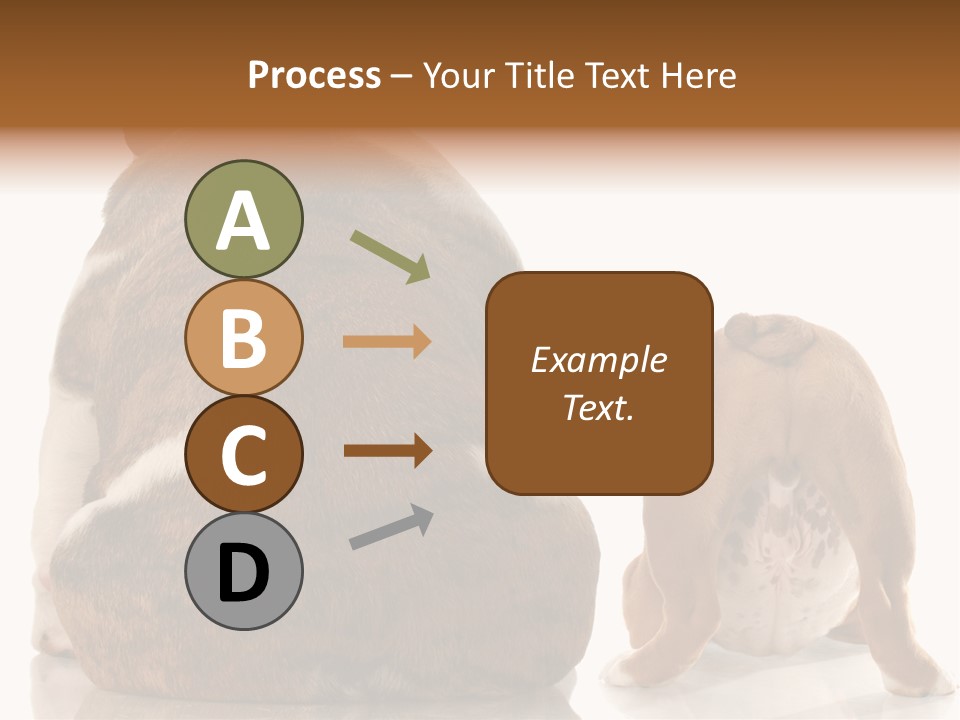 Part Bulldog Rump PowerPoint Template