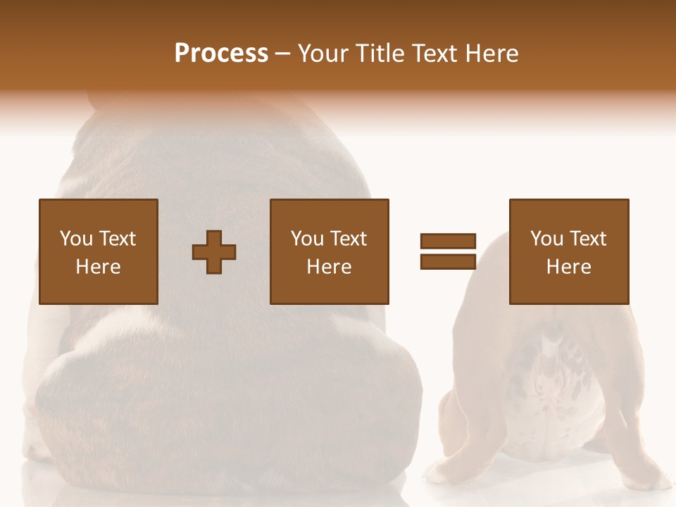 Part Bulldog Rump PowerPoint Template