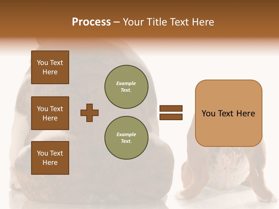 Part Bulldog Rump PowerPoint Template