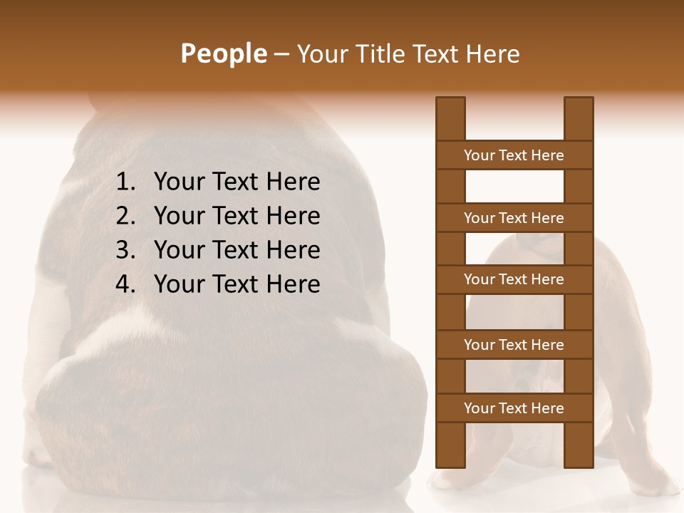 Part Bulldog Rump PowerPoint Template
