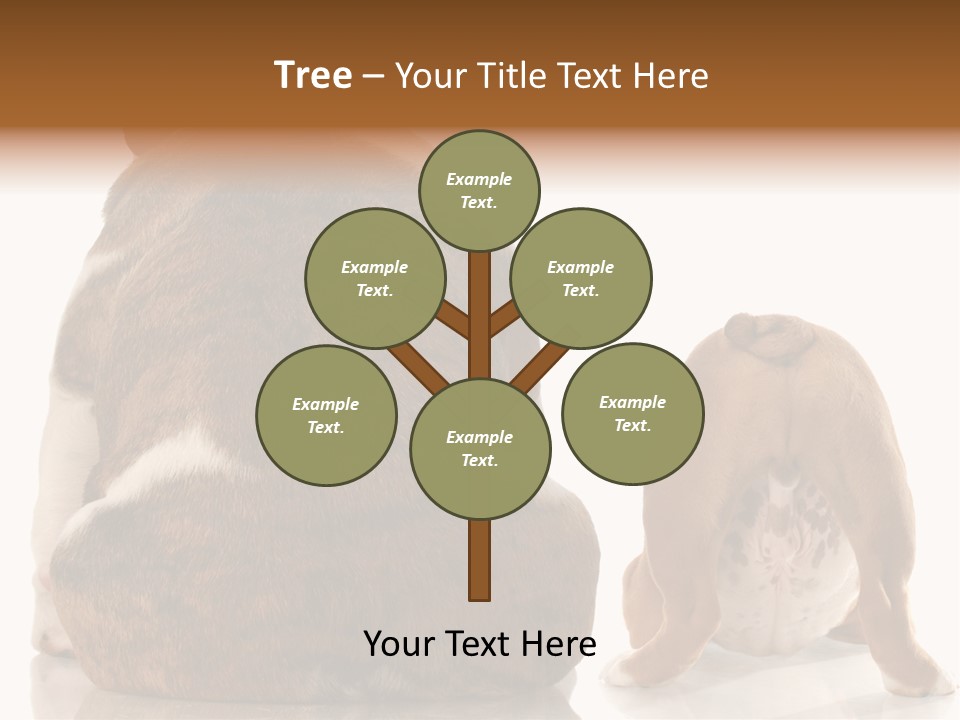 Part Bulldog Rump PowerPoint Template