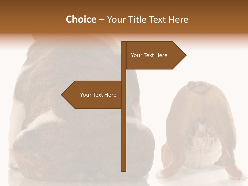 Part Bulldog Rump PowerPoint Template