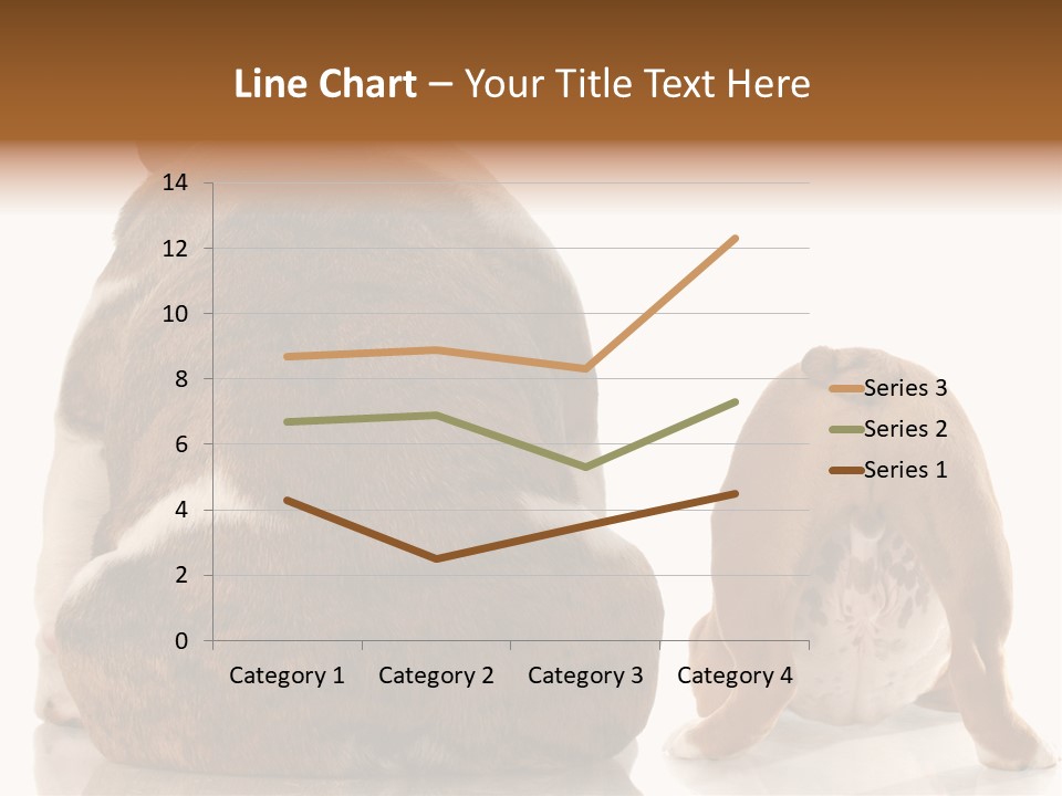 Part Bulldog Rump PowerPoint Template