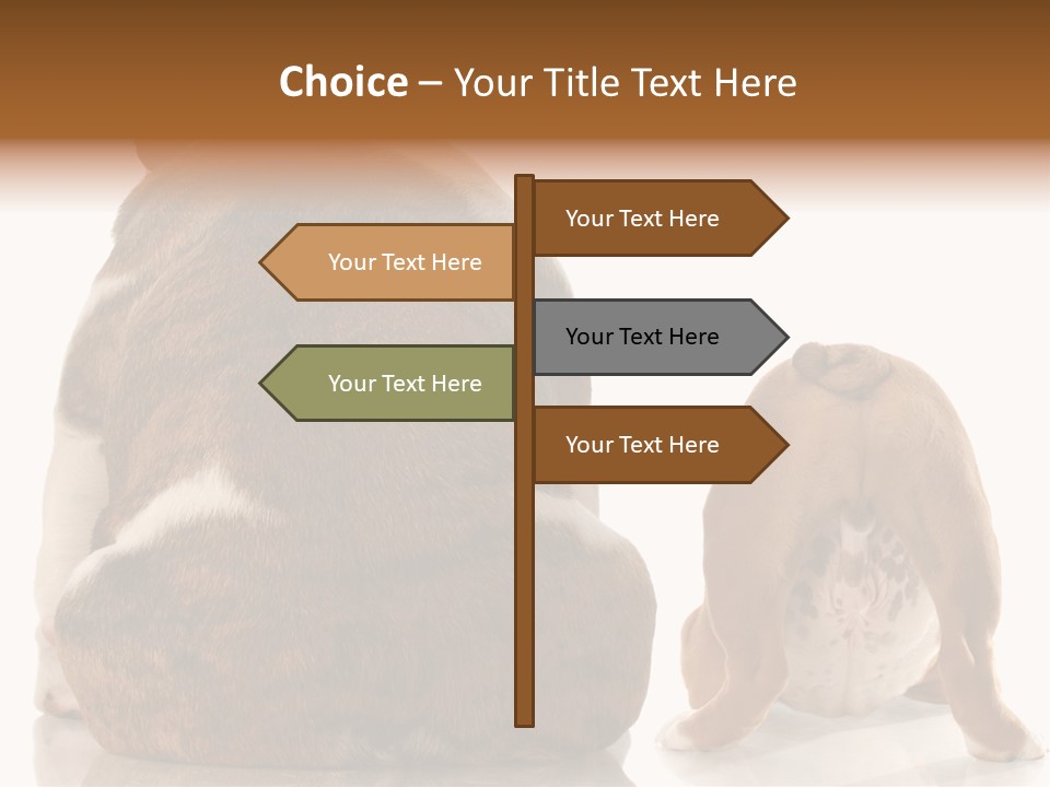 Part Bulldog Rump PowerPoint Template