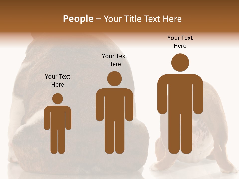 Part Bulldog Rump PowerPoint Template