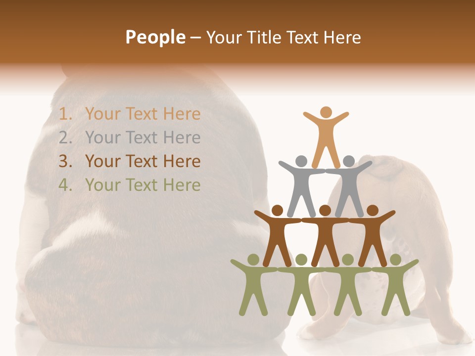 Part Bulldog Rump PowerPoint Template