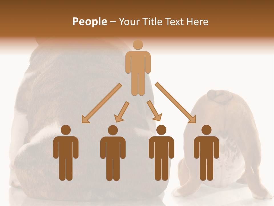 Part Bulldog Rump PowerPoint Template