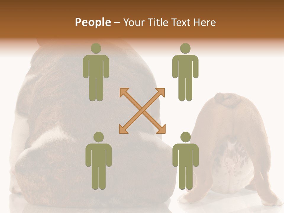 Part Bulldog Rump PowerPoint Template