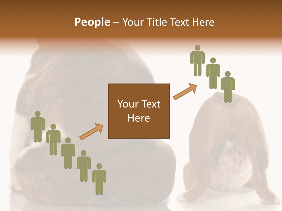 Part Bulldog Rump PowerPoint Template