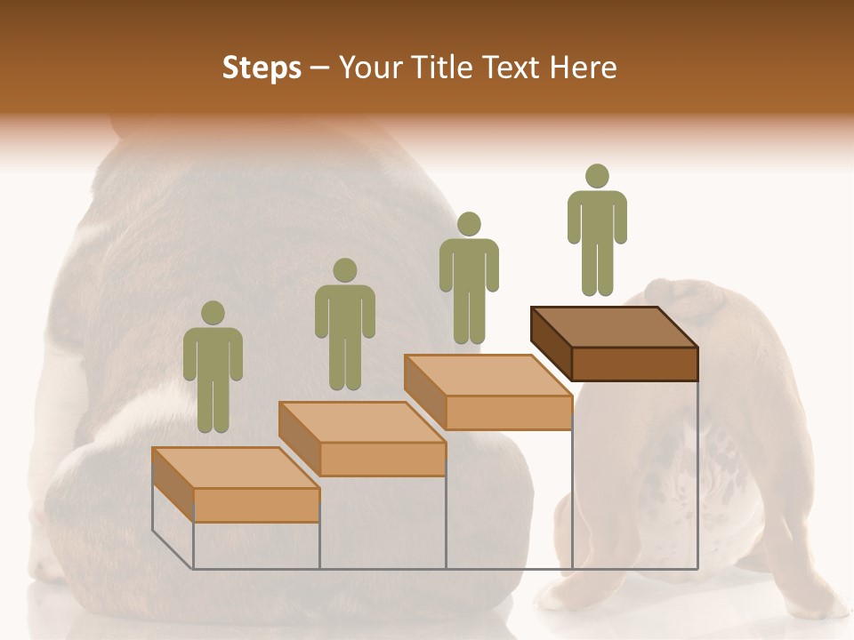 Part Bulldog Rump PowerPoint Template