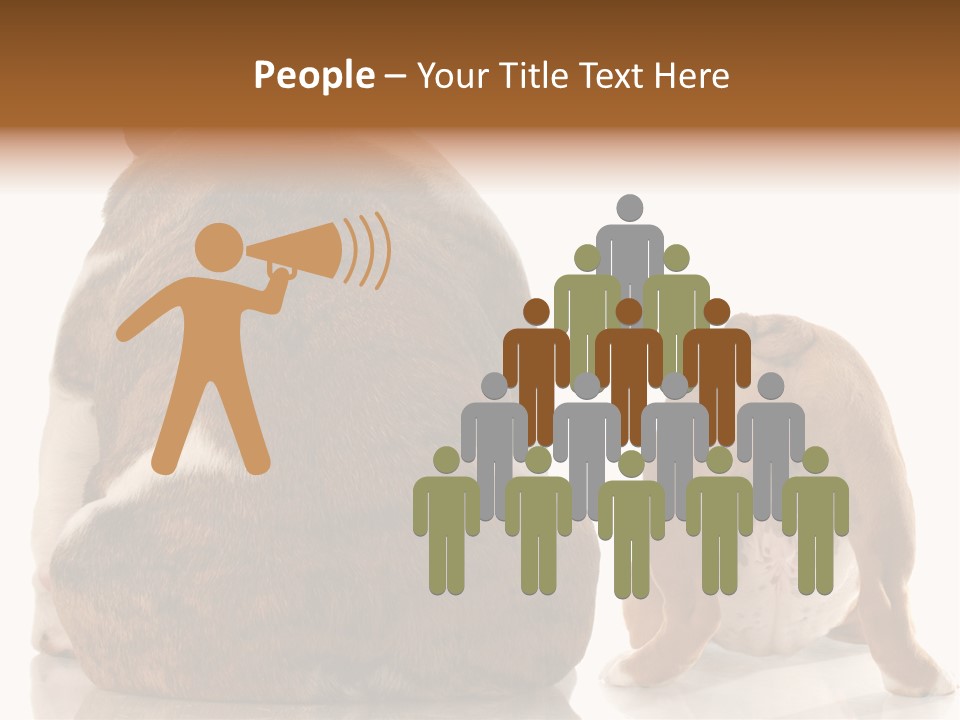 Part Bulldog Rump PowerPoint Template