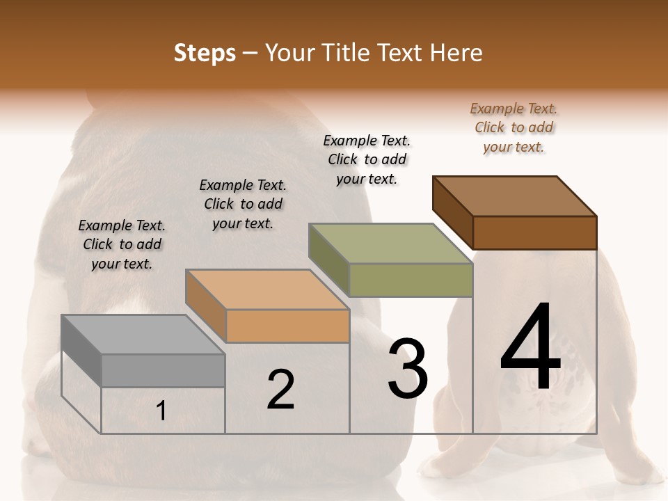 Part Bulldog Rump PowerPoint Template