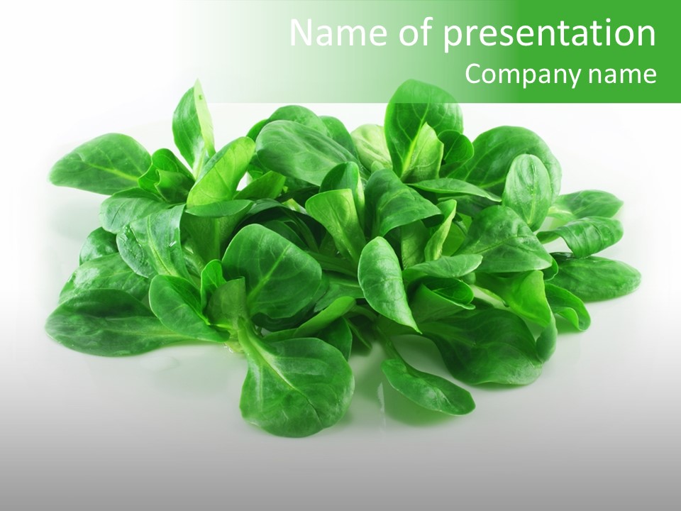 Raw Lettuce Natural PowerPoint Template