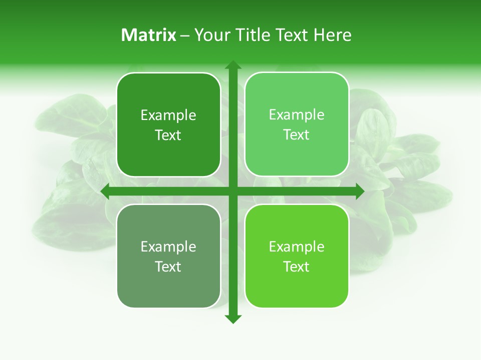 Raw Lettuce Natural PowerPoint Template