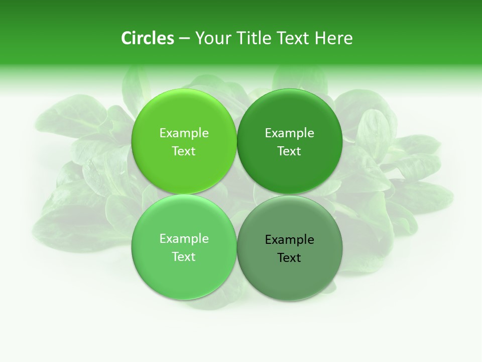 Raw Lettuce Natural PowerPoint Template