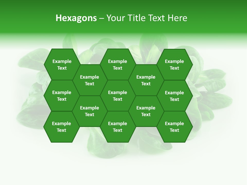 Raw Lettuce Natural PowerPoint Template