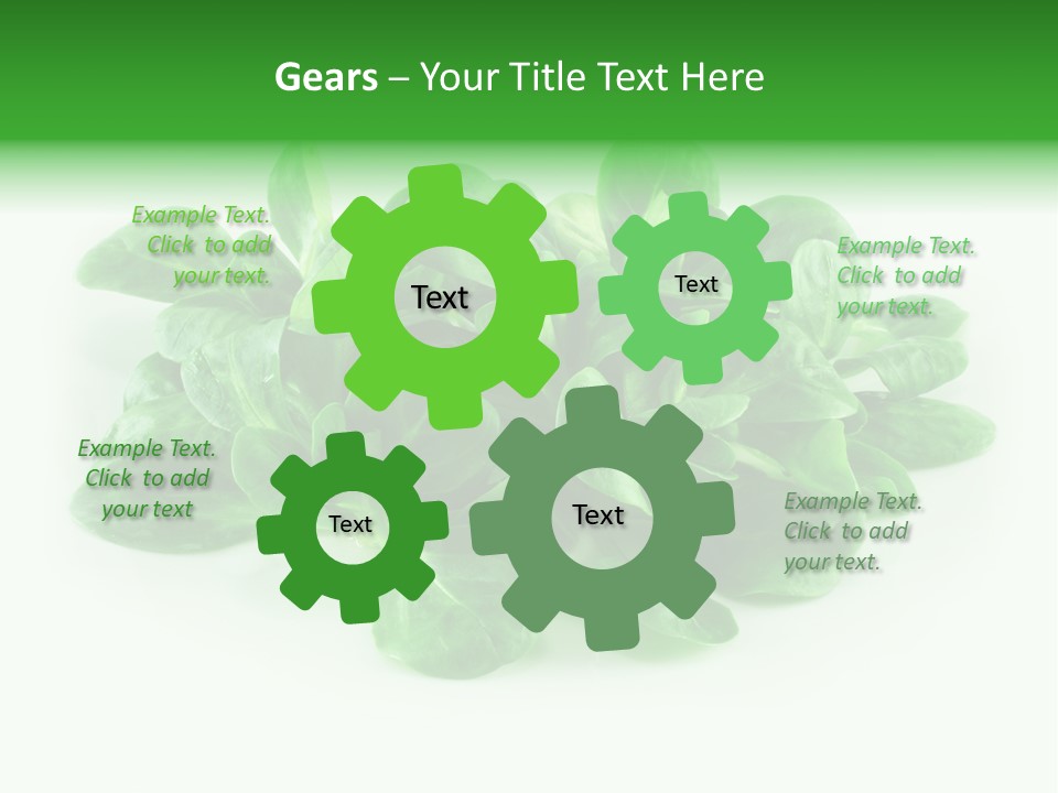 Raw Lettuce Natural PowerPoint Template