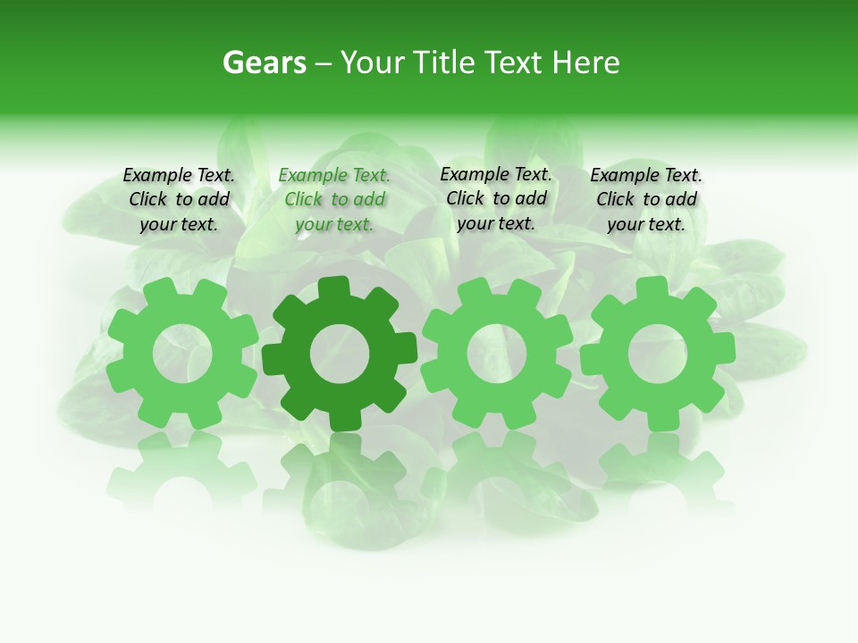 Raw Lettuce Natural PowerPoint Template