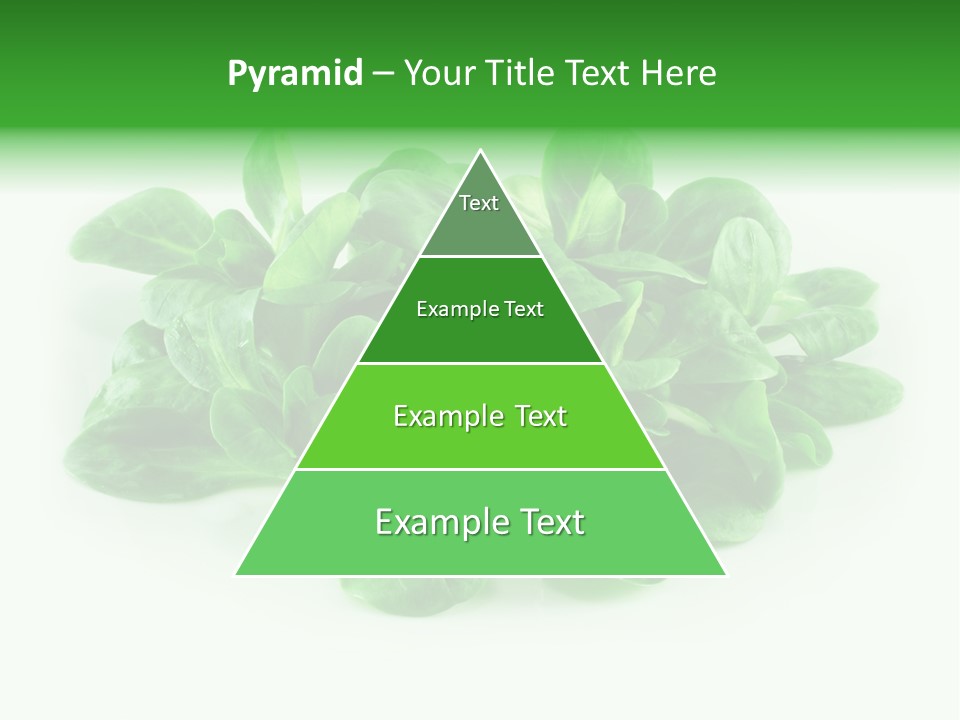 Raw Lettuce Natural PowerPoint Template