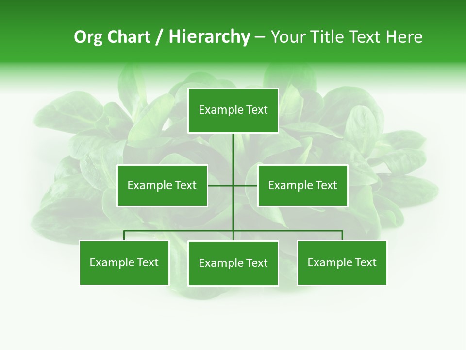 Raw Lettuce Natural PowerPoint Template