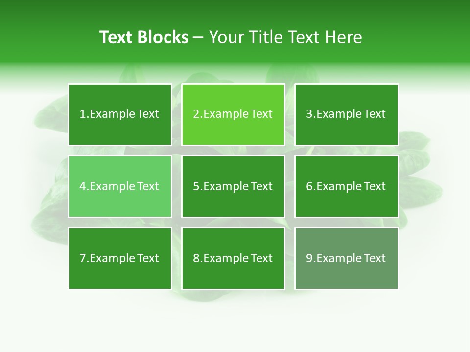 Raw Lettuce Natural PowerPoint Template