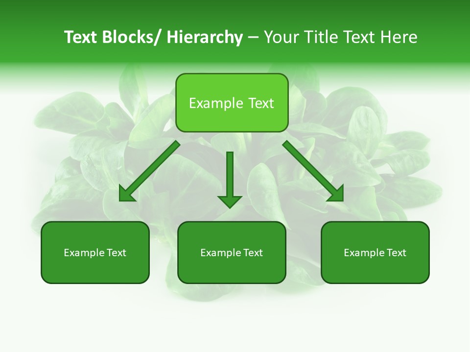 Raw Lettuce Natural PowerPoint Template