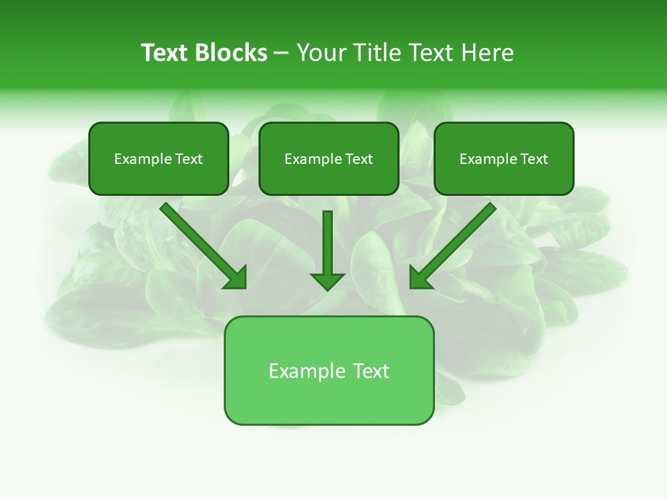 Raw Lettuce Natural PowerPoint Template