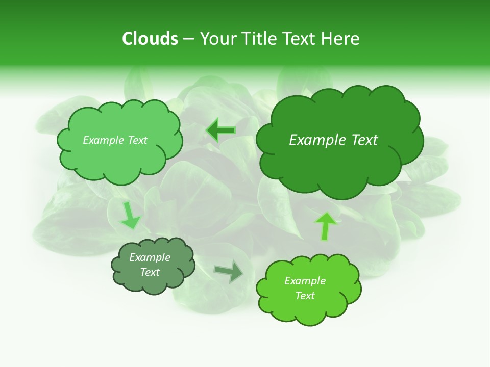 Raw Lettuce Natural PowerPoint Template