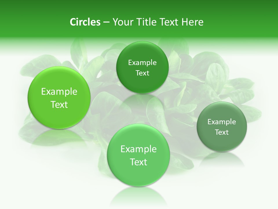 Raw Lettuce Natural PowerPoint Template