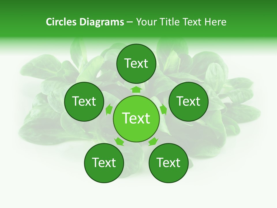 Raw Lettuce Natural PowerPoint Template